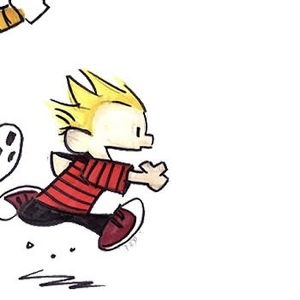 Team Page: Forest Hills Fellows